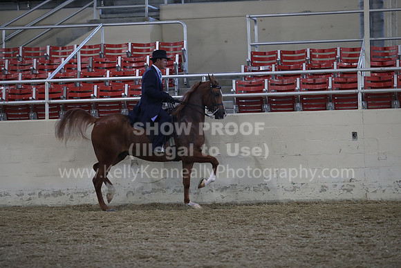 RCAHA19_FriAM_0654