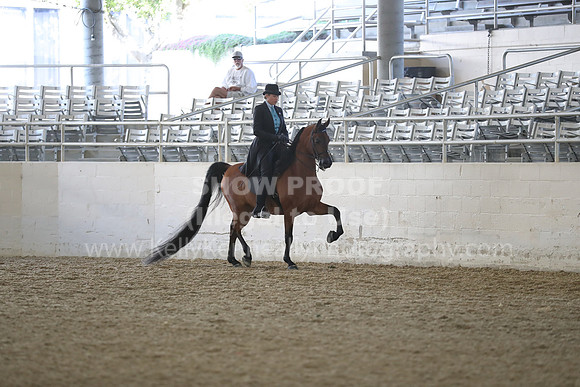 RCAHA19_FriAM_0657