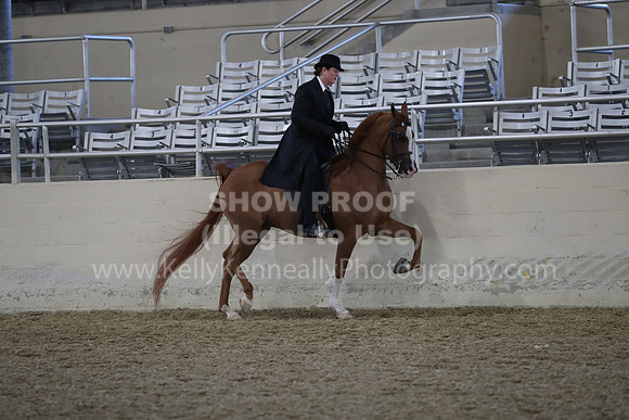 RCAHA19_FriAM_0669