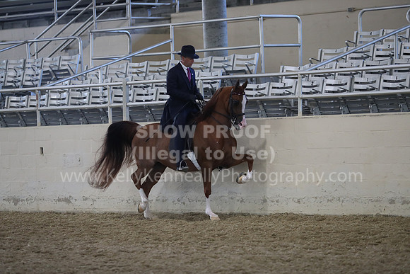 RCAHA19_FriAM_0675