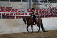 Class 80 Arabian Western Pleasure Choice/Elite Rider ATR