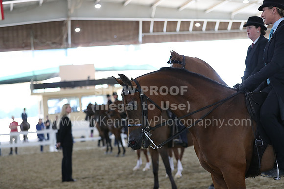 RCAHA19_FriAM_0692