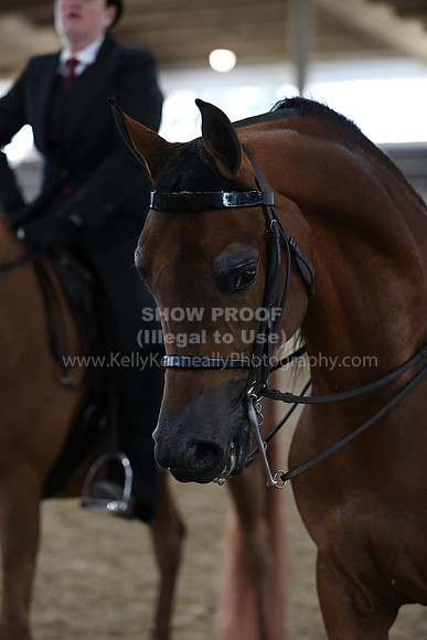 RCAHA19_FriAM_0699