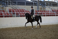 Class 81 HA/AA Hunter Pleasure Select Rider ATR