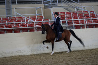 RCAHA19_FriAM_0911