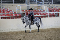 Class 83 Arabian Western Pleasure Select Rider ATR
