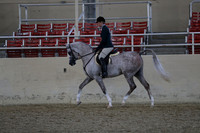 Class 85 Arabian Hunter Pleasure Limit Horses