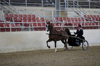 RCAHA19_FriPM_1174