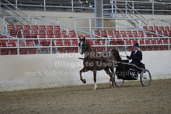 RCAHA19_FriPM_1174