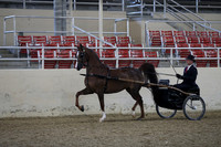 RCAHA19_FriPM_1177