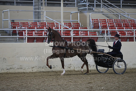 RCAHA19_FriPM_1177