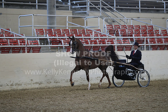 RCAHA19_FriPM_1175