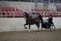 RCAHA19_FriPM_1176