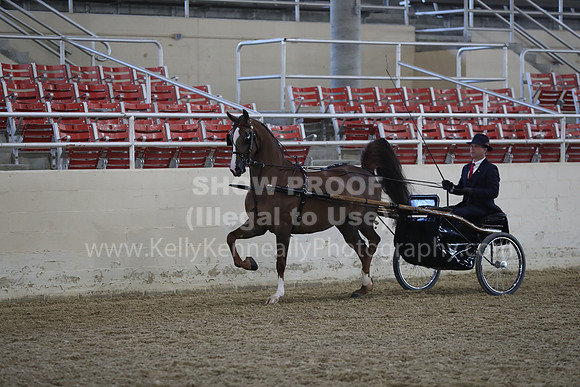 RCAHA19_FriPM_1176