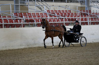 RCAHA19_FriPM_1178
