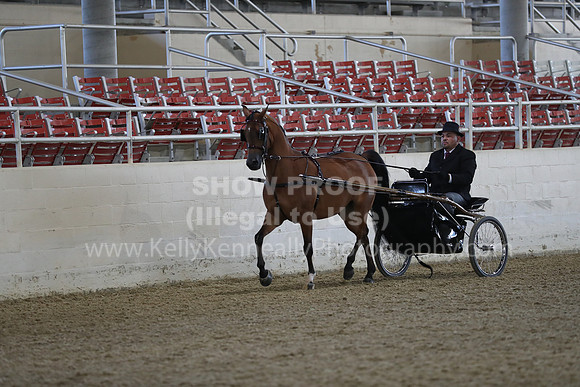 RCAHA19_FriPM_1178