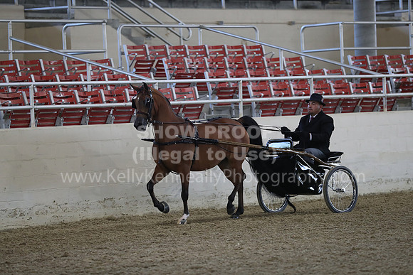 RCAHA19_FriPM_1180