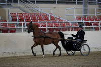 RCAHA19_FriPM_1181