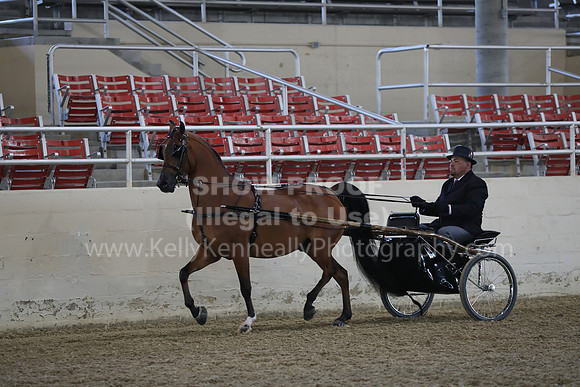 RCAHA19_FriPM_1181