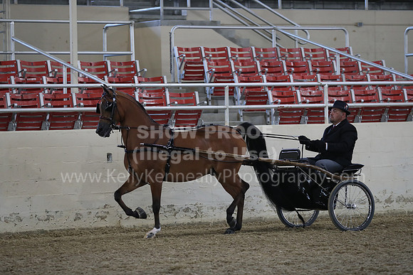 RCAHA19_FriPM_1182