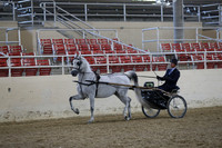 RCAHA19_FriPM_1185