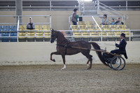 RCAHA19_FriPM_1188