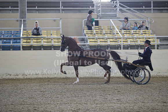 RCAHA19_FriPM_1188