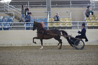 RCAHA19_FriPM_1189
