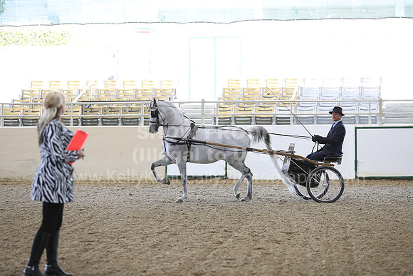 RCAHA19_FriPM_1190
