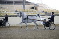 RCAHA19_FriPM_1192