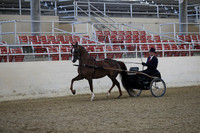 RCAHA19_FriPM_1193