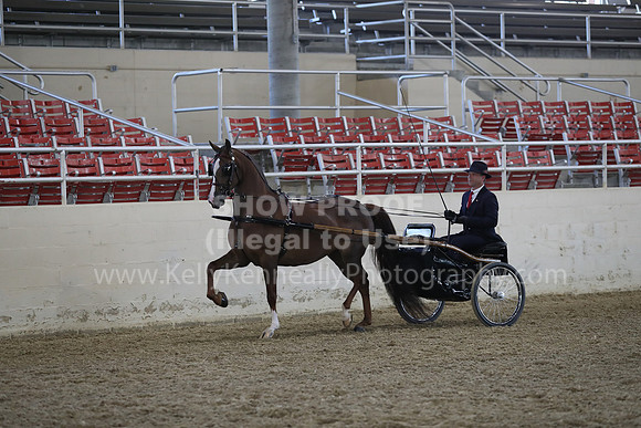 RCAHA19_FriPM_1194