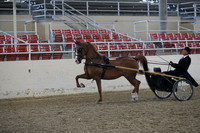 RCAHA19_FriPM_1198