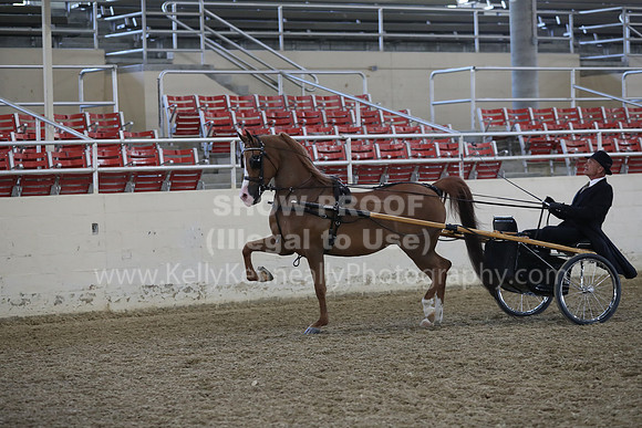 RCAHA19_FriPM_1198