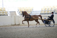 RCAHA19_FriPM_1202