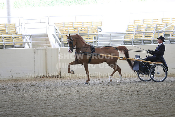 RCAHA19_FriPM_1202