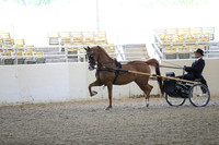 RCAHA19_FriPM_1203