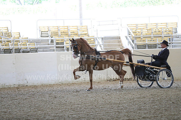 RCAHA19_FriPM_1203