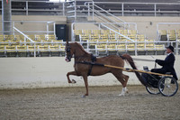 RCAHA19_FriPM_1206