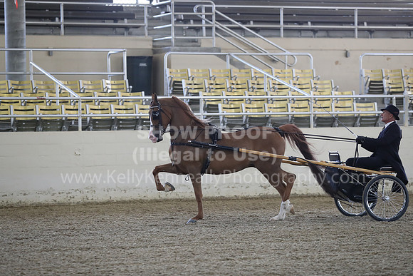 RCAHA19_FriPM_1206