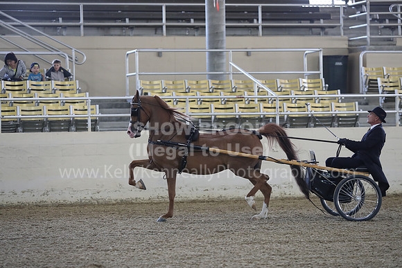RCAHA19_FriPM_1207