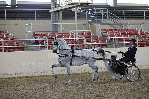 RCAHA19_FriPM_1210