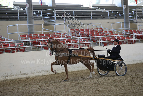 RCAHA19_FriPM_1213