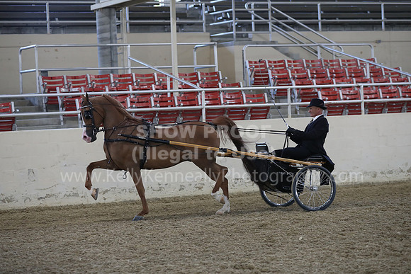 RCAHA19_FriPM_1214