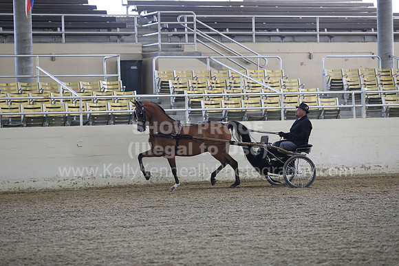 RCAHA19_FriPM_1216