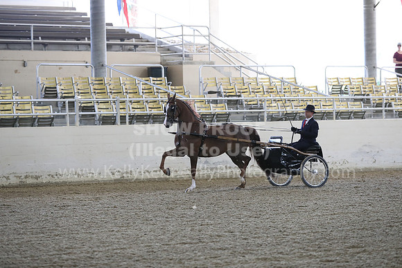 RCAHA19_FriPM_1218