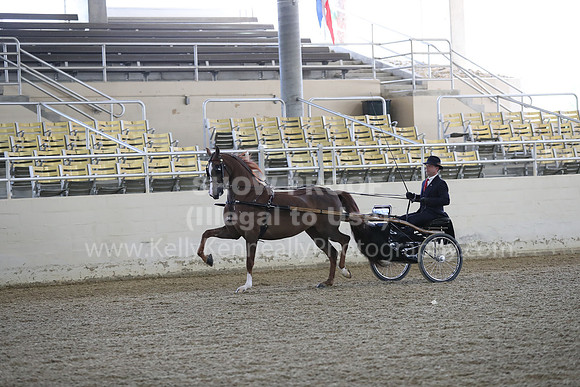 RCAHA19_FriPM_1219