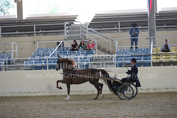 RCAHA19_FriPM_1223