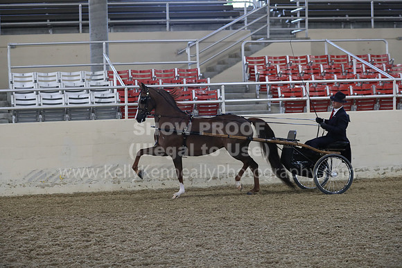 RCAHA19_FriPM_1225
