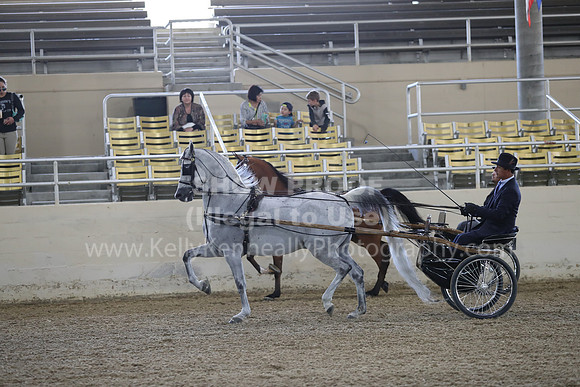RCAHA19_FriPM_1228